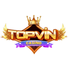 Logo TopVin